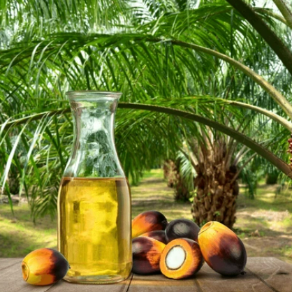 Palm Oil Products